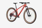 Red mountain bike on a white background