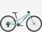 Mint green bicycle on a white background
